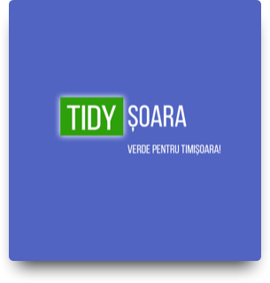 Tidysoara